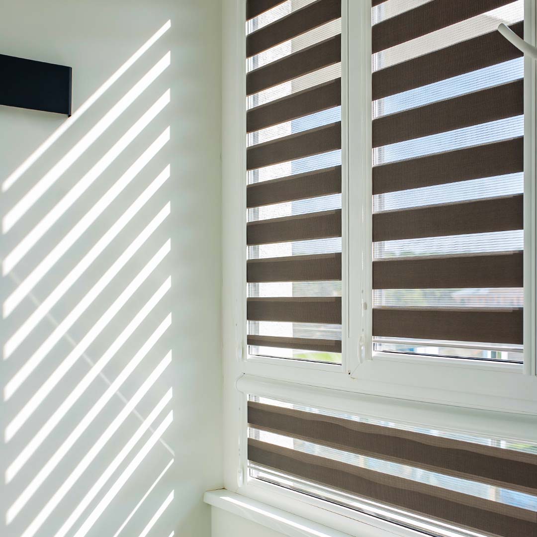 Zebra Blinds